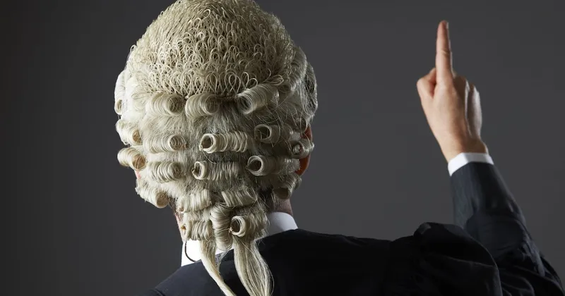 Vizlegal opens up its legal search and tracking platform to Irish barristers